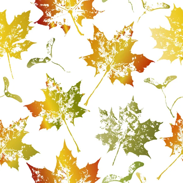 Vektör seamles desen sonbahar renkli yaprakları ve akçaağaç tohumu ile.