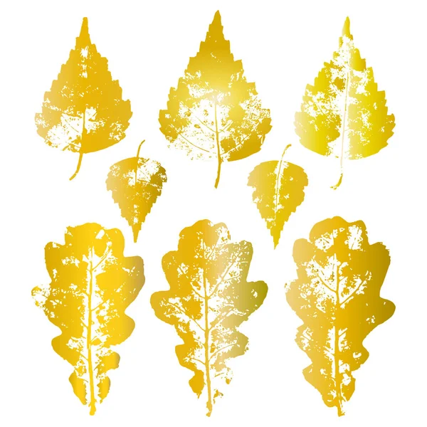 Vektor Nahtloses Muster Mit Gelben Herbstblättern Von Birke Und Eiche — Stockvektor