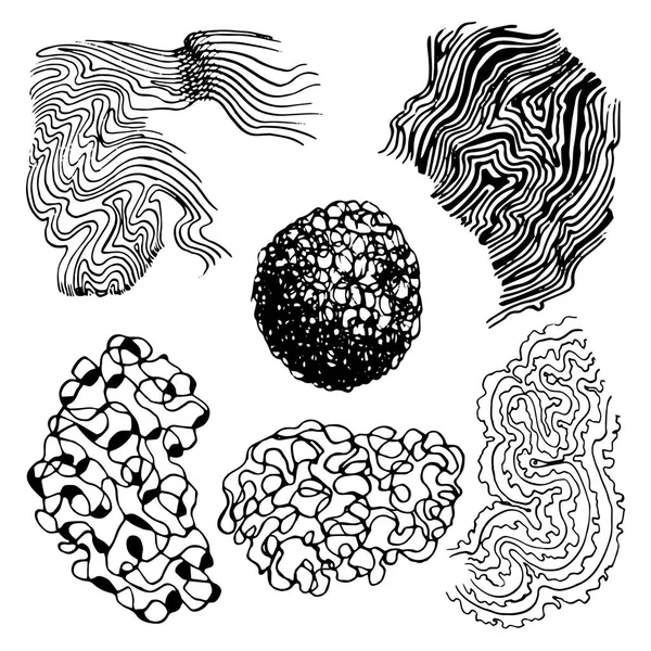 Vektör öğeleri tasarım için çizilmiş. Doğrusal izole siyah beyaz. Tasarım için dokular.