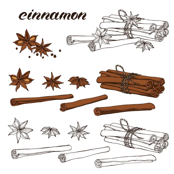 Vektör harflerle çizilmiş tarçın ile ayarlayın