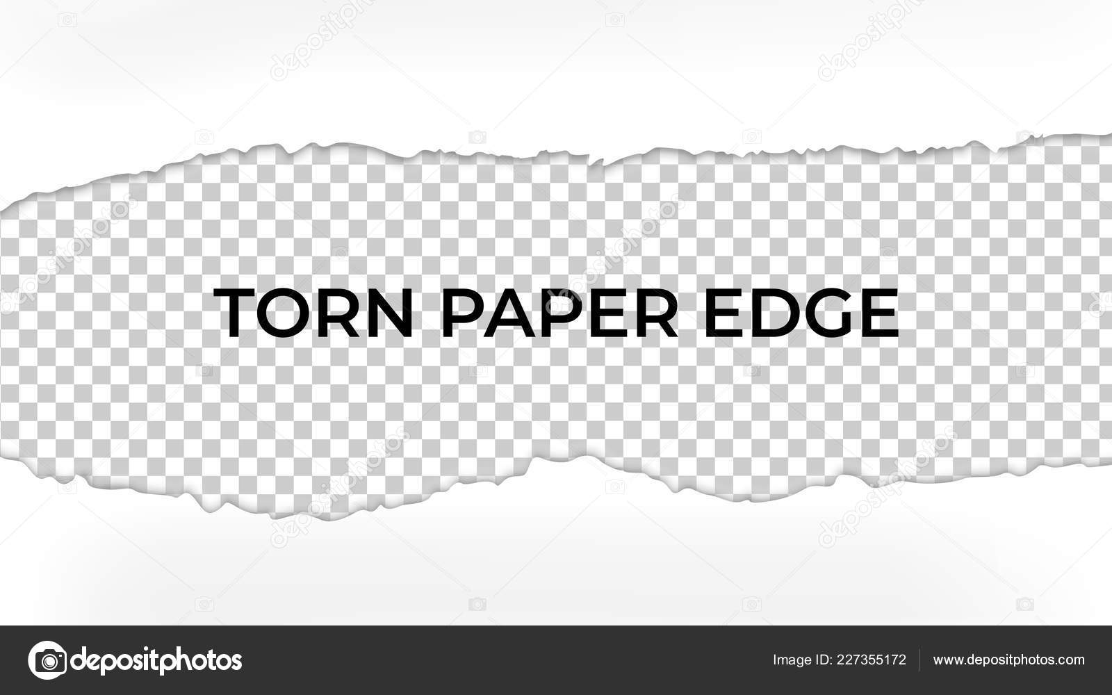 Download Vector Torn Paper With Ripped Edges Template Mockup Design Stock Vector C Zmshv 227355172 PSD Mockup Templates