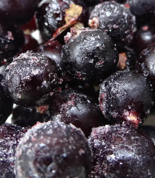 Ribes nero congelato con ghiaccio da vicino sfondo — Foto Stock