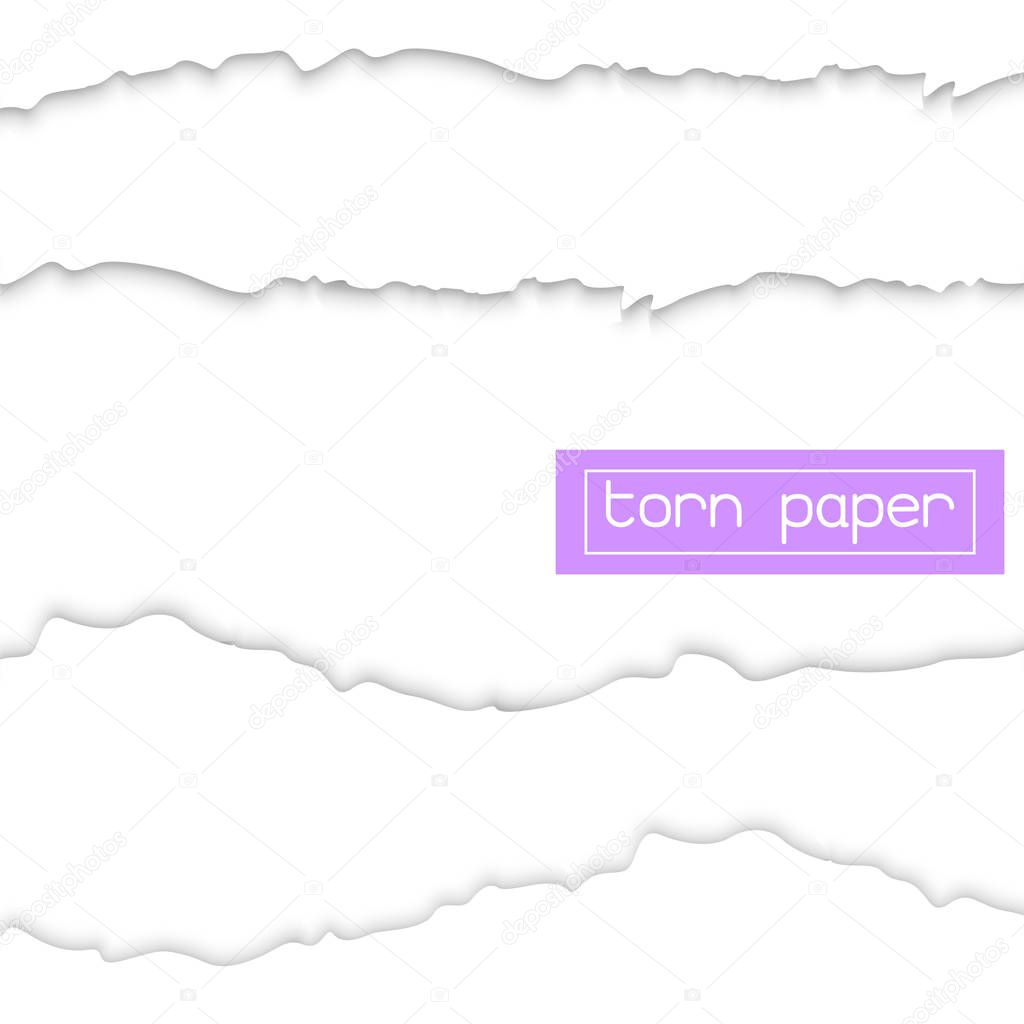 vector torn paper with ripped edge Template mockup
