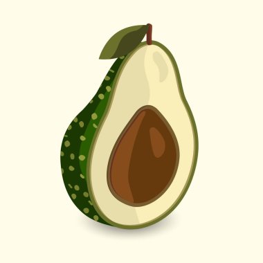 Vector fresh avocado.Cartoon style 