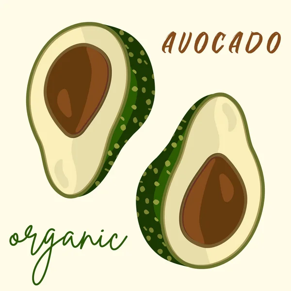 Vector aguacate fresco.Estilo de dibujos animados — Archivo Imágenes Vectoriales