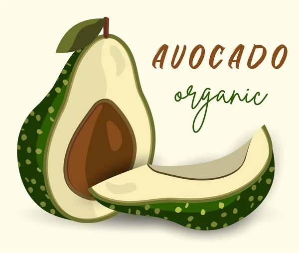 Vector aguacate fresco.Estilo de dibujos animados — Archivo Imágenes Vectoriales