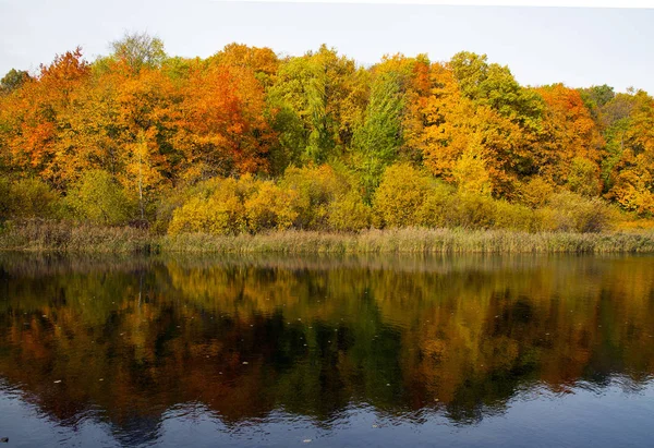Осенние Пейзажи Волге Нижегородская Область — стоковое фото