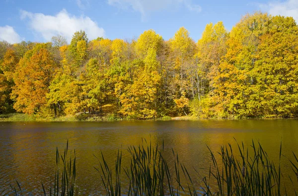 Kleurrijke Herfst Landschap Farm Park Shchelkovo Nizjni Novgorod — Stockfoto