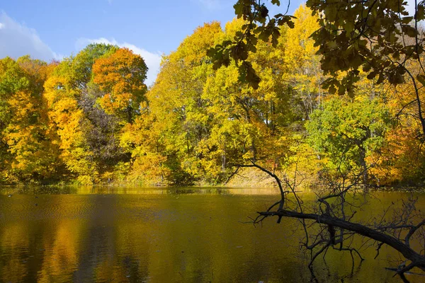 Красочный Осенний Пейзаж Парке Щелково Нижний Новгород — стоковое фото