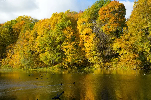 Barevné Podzimní Krajina Parku Shchelkovo Farmě Nižnij Novgorod — Stock fotografie