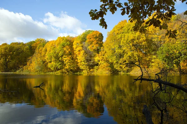 Kleurrijke Herfst Landschap Farm Park Shchelkovo Nizjni Novgorod — Stockfoto