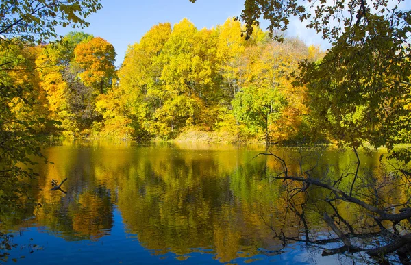 Kleurrijke Herfst Landschap Farm Park Shchelkovo Nizjni Novgorod — Stockfoto