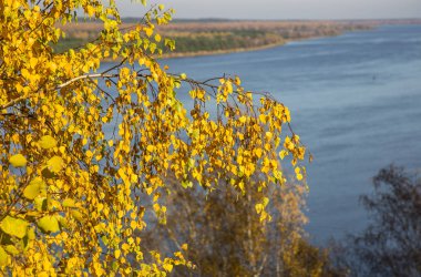 Volga expanses ve ağaç, Nizhny Novgorod bölgesi sonbahar parlak görünümünü