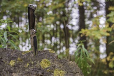 Ormanda güneşli bir gün kütük dışarı yapışan bir bıçak ahşap sapı