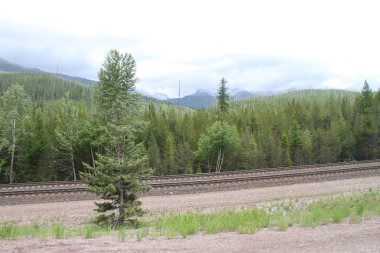 Glacier Ulusal Parkı Inside, Montana, ABD