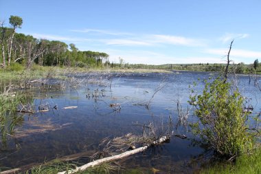 Glacier Ulusal Parkı Inside, Montana, ABD