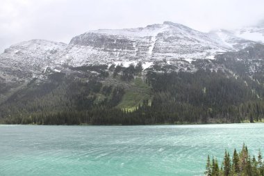 Glacier Ulusal Parkı Inside, Montana, ABD
