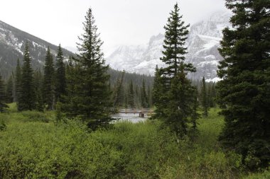 Glacier Ulusal Parkı Inside, Montana, ABD