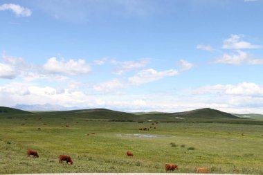 Waterton Lakes içinde, Alberta, Kanada