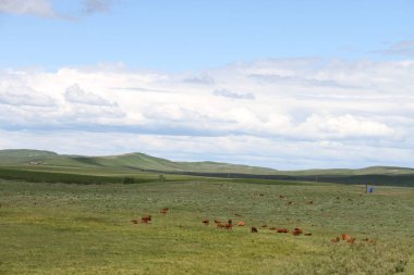Waterton Lakes içinde, Alberta, Kanada