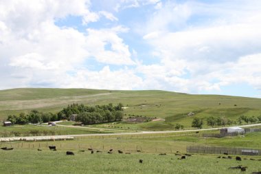 Waterton Lakes içinde, Alberta, Kanada