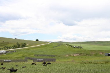 Waterton Lakes içinde, Alberta, Kanada