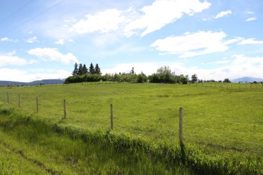 Waterton Lakes içinde, Alberta, Kanada