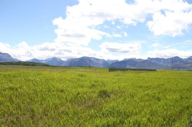 Waterton Lakes içinde, Alberta, Kanada