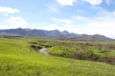 Waterton Lakes içinde, Alberta, Kanada