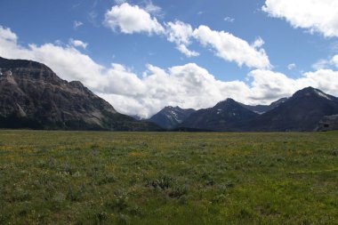 Waterton Lakes içinde, Alberta, Kanada