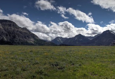 Waterton Lakes içinde, Alberta, Kanada
