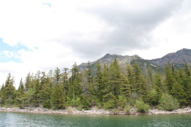 Waterton Lakes içinde, Alberta, Kanada