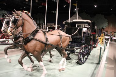 Taşıma Müzesi, Alberta, Kanada 'da arabaları
