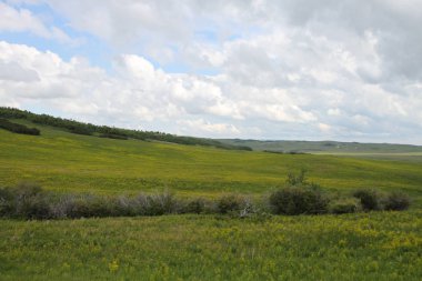 Glacier National Park, Browning, Montana, Amerika Birleşik Devletleri