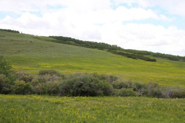 Glacier National Park, Browning, Montana, Amerika Birleşik Devletleri