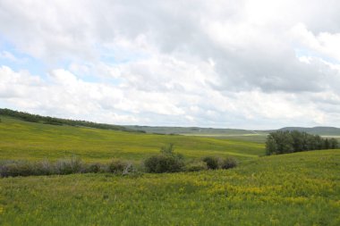 Glacier National Park, Browning, Montana, Amerika Birleşik Devletleri