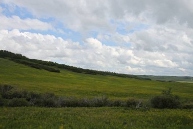 Glacier National Park, Browning, Montana, Amerika Birleşik Devletleri
