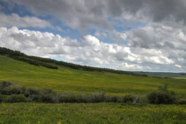 Glacier National Park, Browning, Montana, Amerika Birleşik Devletleri