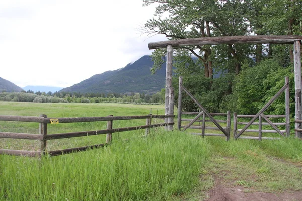 Glacier Ulusal Parkı Inside, Montana, ABD