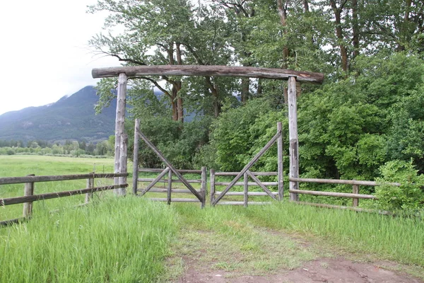 Glacier Ulusal Parkı Inside, Montana, ABD