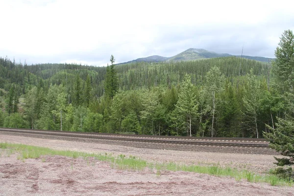 Glacier Ulusal Parkı Inside, Montana, ABD