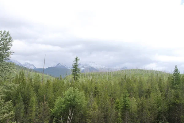 Glacier National Park Montana États Unis — Photo