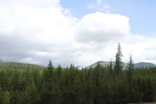 Belső Gleccser Nemzeti Park Montana Amerikai Egyesült Államok — Stock Fotó