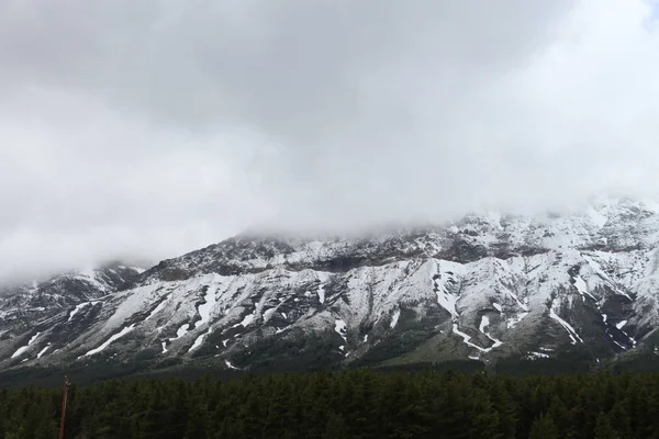 Glacier National Park Montana Stany Zjednoczone — Zdjęcie stockowe