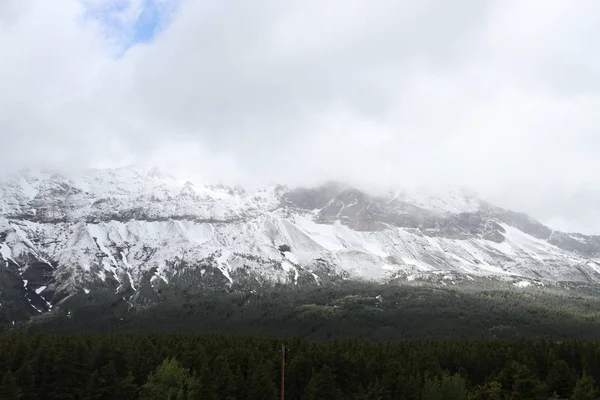 Всередині Льодовика Національний Парк Штат Монтана Сша — стокове фото