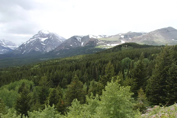 Glacier National Park Montana Stany Zjednoczone — Zdjęcie stockowe