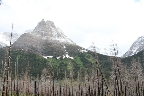 Glacier National Park Montana Stany Zjednoczone — Zdjęcie stockowe