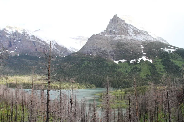 Glacier Ulusal Parkı Montana Abd — Stok fotoğraf