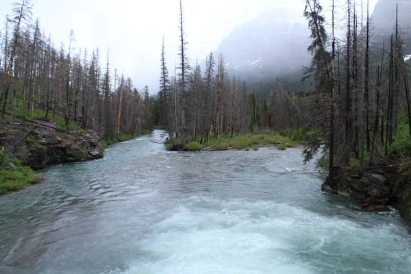 Dentro Del Parque Nacional Glaciar Montana — Foto de Stock