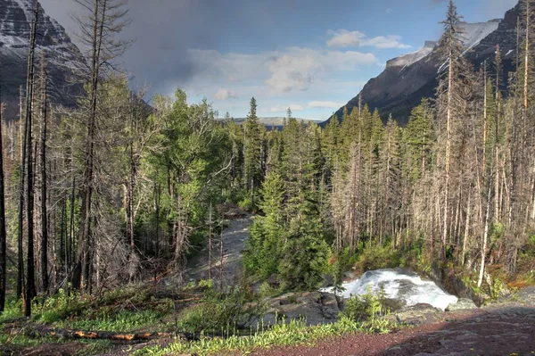 Glacier National Park Montana Stany Zjednoczone — Zdjęcie stockowe